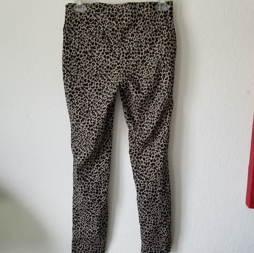 a new day Leopard Print Pants - Picture 4 of 12